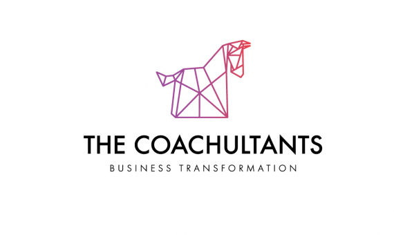 THE COACHULTANS